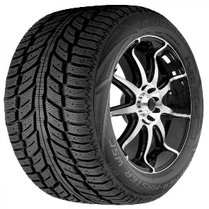 Cooper Weathermaster WSC 225/45R19