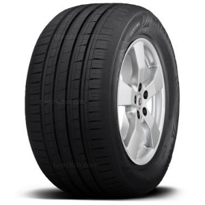 Minerva F209 225/55R16